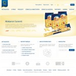 Projekt Strony Makarony Polskie
